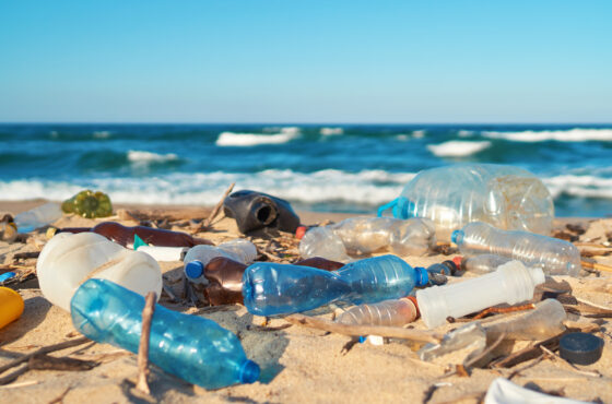 plastic bottles and other debris on sand in foreground of beach, ocean in background